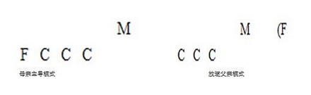 [转]在一个家庭中父母过于强势会对孩子造成什么不良影响