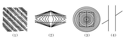 (3)垂直水平错觉:其实两条直线是等长的.