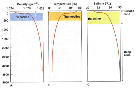 海水密度跃变层（Pycnocline）、温度跃变层（Thermocline）、盐度跃变层（Halocline）