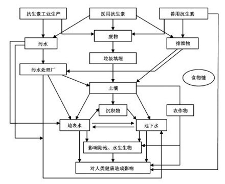 环境中抗生素的来源及可能的转归途径