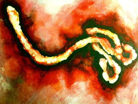 2014年埃博拉病毒