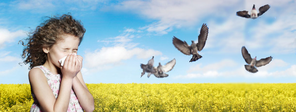 H7N9�����в�������