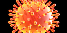 H7N9�����в���