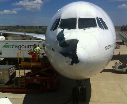 伊比利亚空中客车A340-300在飞行中被秃鹰撞出一个大洞，最后安全降落