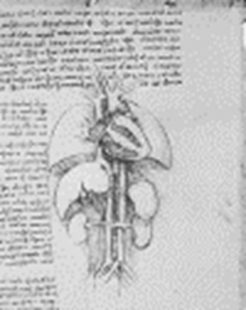 古代欧洲主要脏器解剖图