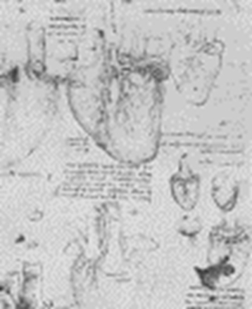 文艺复兴时期的心脏解剖图