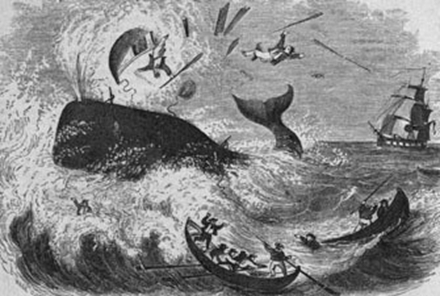 描绘捕鲸活动的绘画作品